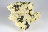 Black Tourmaline (Schorl) Crystals with Orthoclase - Namibia #177553-1